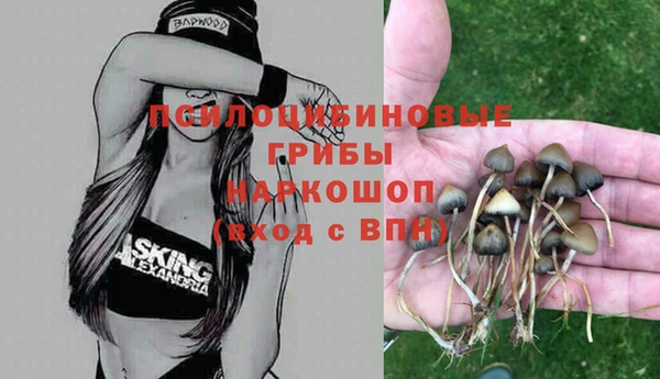 ALPHA PVP Аркадак