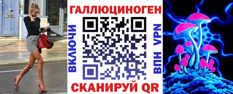 дарнет шоп  Почеп  Псилоцибиновые грибы мицелий 